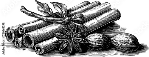 Vintage sketch of cinnamon sticks and star anise for culinary design