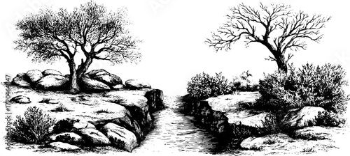Enchanting forest path with bushes and shrubs engraving for nature design