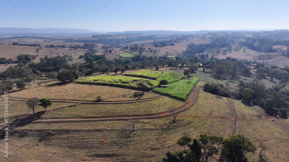 Naklejka premium Sao Benedito Das Areias Skyline At Mococa In Sao Paulo Brazil. Countryside City. Rural Cityscape. Sao Benedito Das Areias Skyline At Mococa In Sao Paulo Brazil. Agriculture Field. Outdoor Scene.