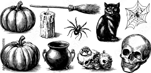 Halloween vintage illustration set with pumpkins bats owls spiders and skulls for craft decor