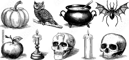 Vintage halloween set with pumpkins, owls, spiders, and skulls for retro design