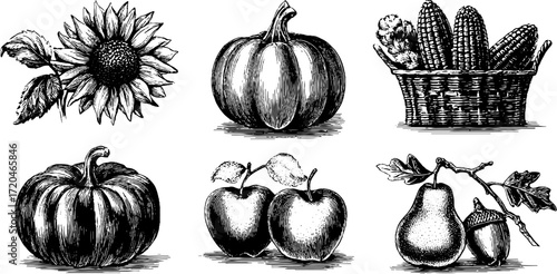 Rustic harvest collection featuring pumpkins, corn cobs, sunflowers, apples, and pears for autumn decor