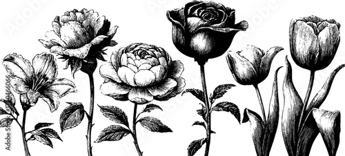 Vintage floral set with roses peonies lilies and tulips for botanical design