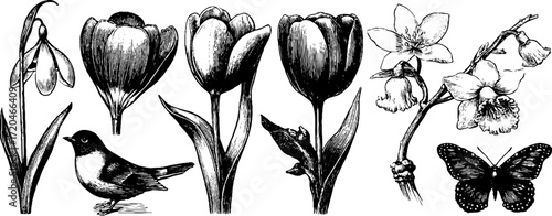 Vintage botanical sketch of spring flowers and wildlife for art design