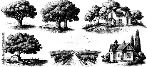 Vintage farm and vineyard landscape scenes for design and poster use
