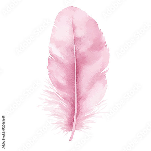 Feather Boa, watercolor painting vector, isolated on a white background.