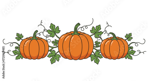 Three pumpkins with leaves and vines on a white background.