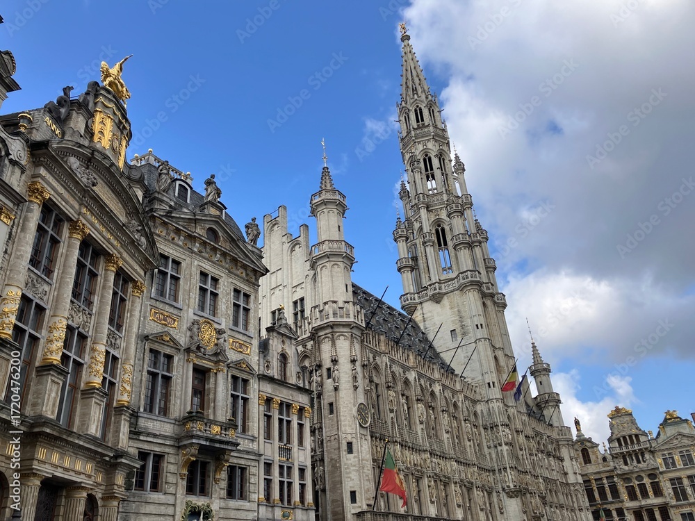 Fototapeta premium グランプラス