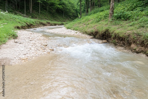 Clear stream flowing through a forest