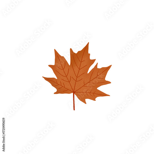 Transparent png om mapple leaf