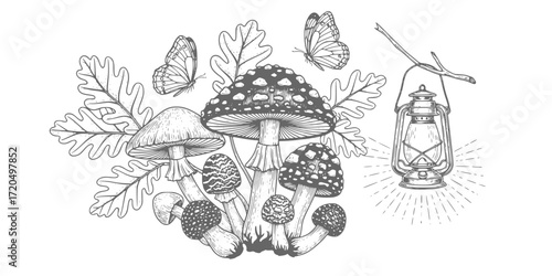 Enchanted forest elements in vintage engraving style: mushrooms, lantern, oak leaves, and butterfly