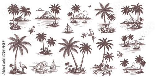 Vintage island illustration set featuring palm trees and engraved tropical scenes