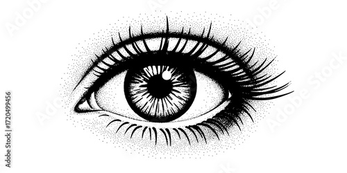 illustration of an eye with intricate detail