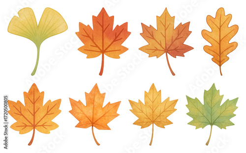 PNG Colorful autumn leaves illustration, element set on transparent background