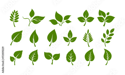 A versatile collection of green leaf vector icons. Diverse set of botanical plant foliage symbols for ecology, nature, and organic concepts