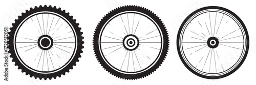 detailed bicycle wheel anatomy vector spokes hub rim tread comparison for designers