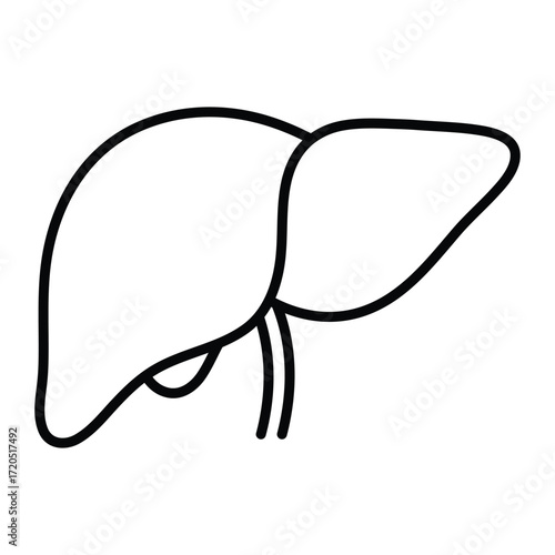 Liver vector icon. Black line art illustration of human digestive organ for medical, healthcare, and anatomy design.