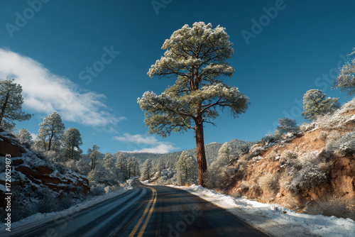 snowcovered road winds through tranquil winter landscape leading to solitary evergreen tree against pristine sky