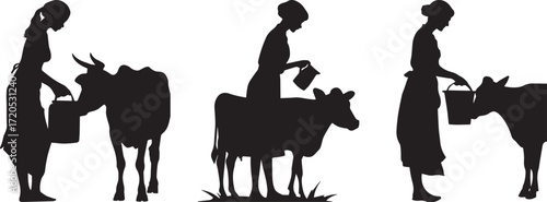 Silhouette of women milking cows vector illustration for dairy farm concept art