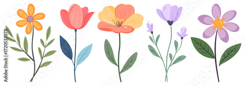 Wallpaper Mural PNG Colorful floral vector illustration, element set on transparent background Torontodigital.ca