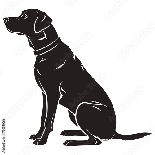 Dog sitting silhouette