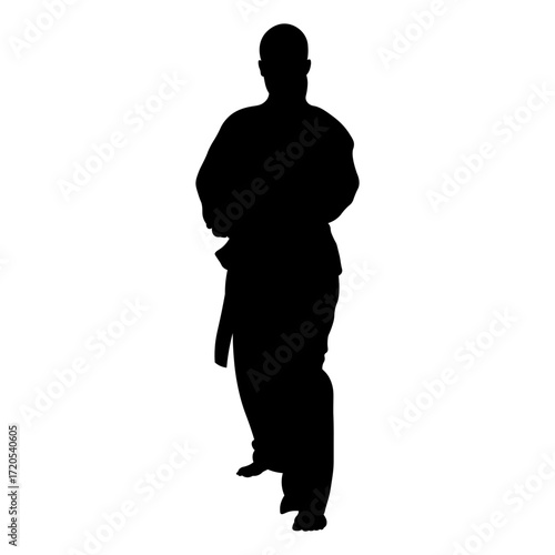 Silhouette of a Woman Karate Athlete.