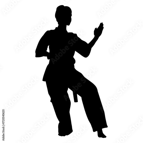 Silhouette of a Woman Karate Athlete.