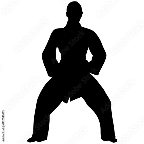 Silhouette of a Woman Karate Athlete.