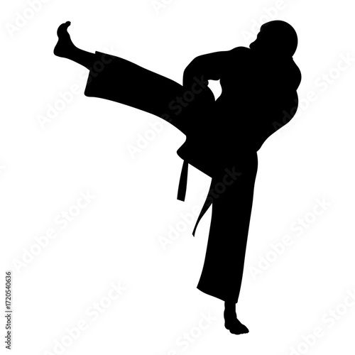 Silhouette of a Woman Karate Athlete.