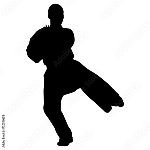 Silhouette of a Woman Karate Athlete.