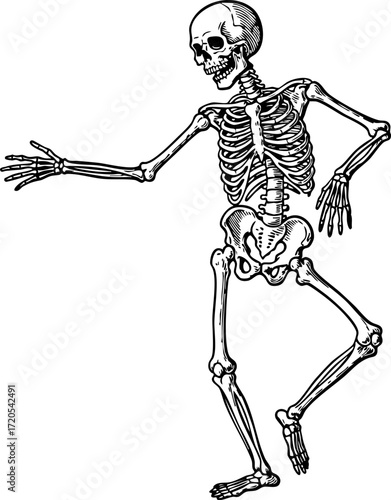  Dancing Skeleton etching illustration