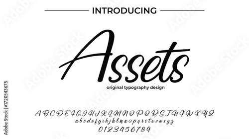 Assets - Elegant Script Font for Smooth Handwritten Design and Creative Typography