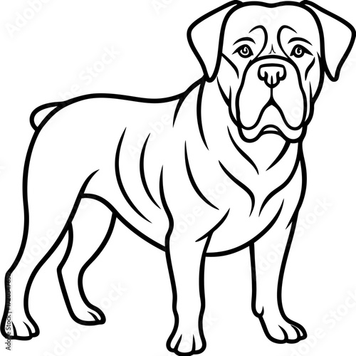 Dogue de Bordeaux Line Art Vector Illustration on White Background