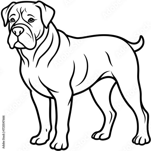 Dogue de Bordeaux Line Art Vector Illustration on White Background