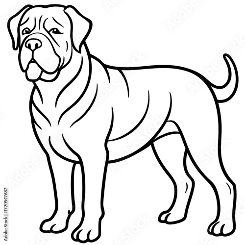 Dogue de Bordeaux Line Art Vector Illustration on White Background