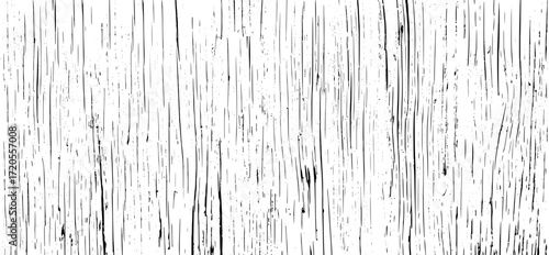 Tree bark texture