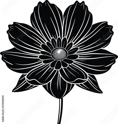 Black and White Stylized Flower Vector Art with Detailed Petals and Intricate Center, Botanical Illustration