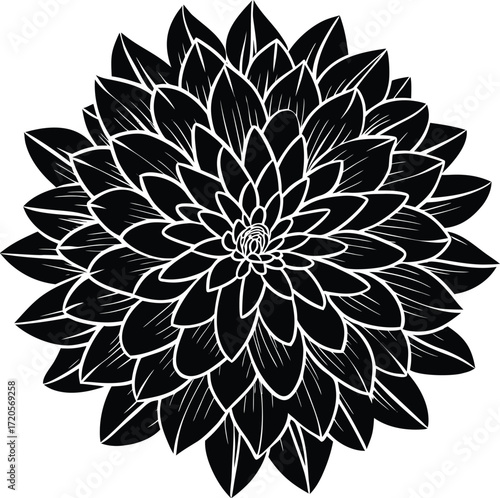 Stylized Black and White Dahlia Flower Vector Illustration, Monochrome Floral Blossom Petals Graphic Design