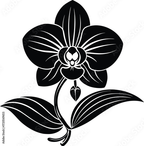 Stylized Black Orchid Flower with Leaves Vector Art
