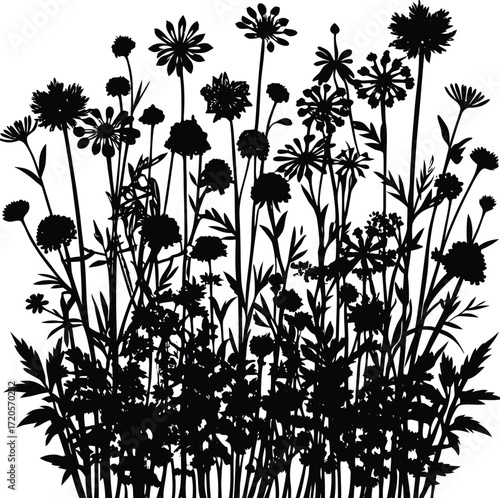 Wildflower Meadow Silhouette Vector, Diverse Botanical Field Art