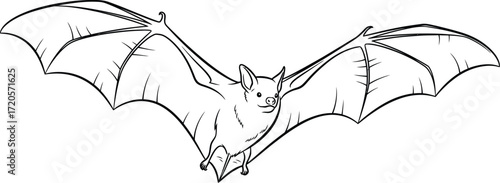 Cartoon bat flying with its wings spread in black and white