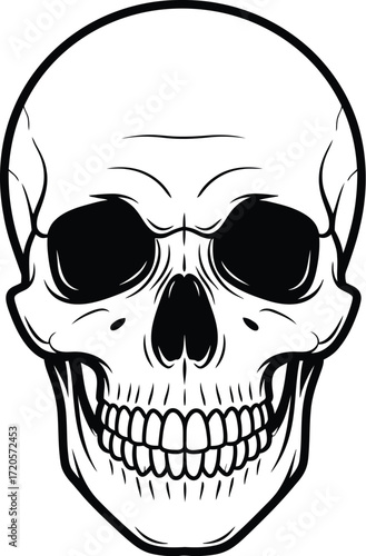Detailed skull illustration on a white background in black ink