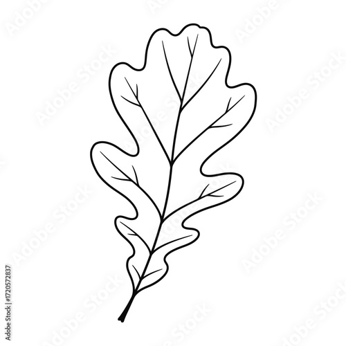 Stylized whisk illustration for culinary and kitchen designs