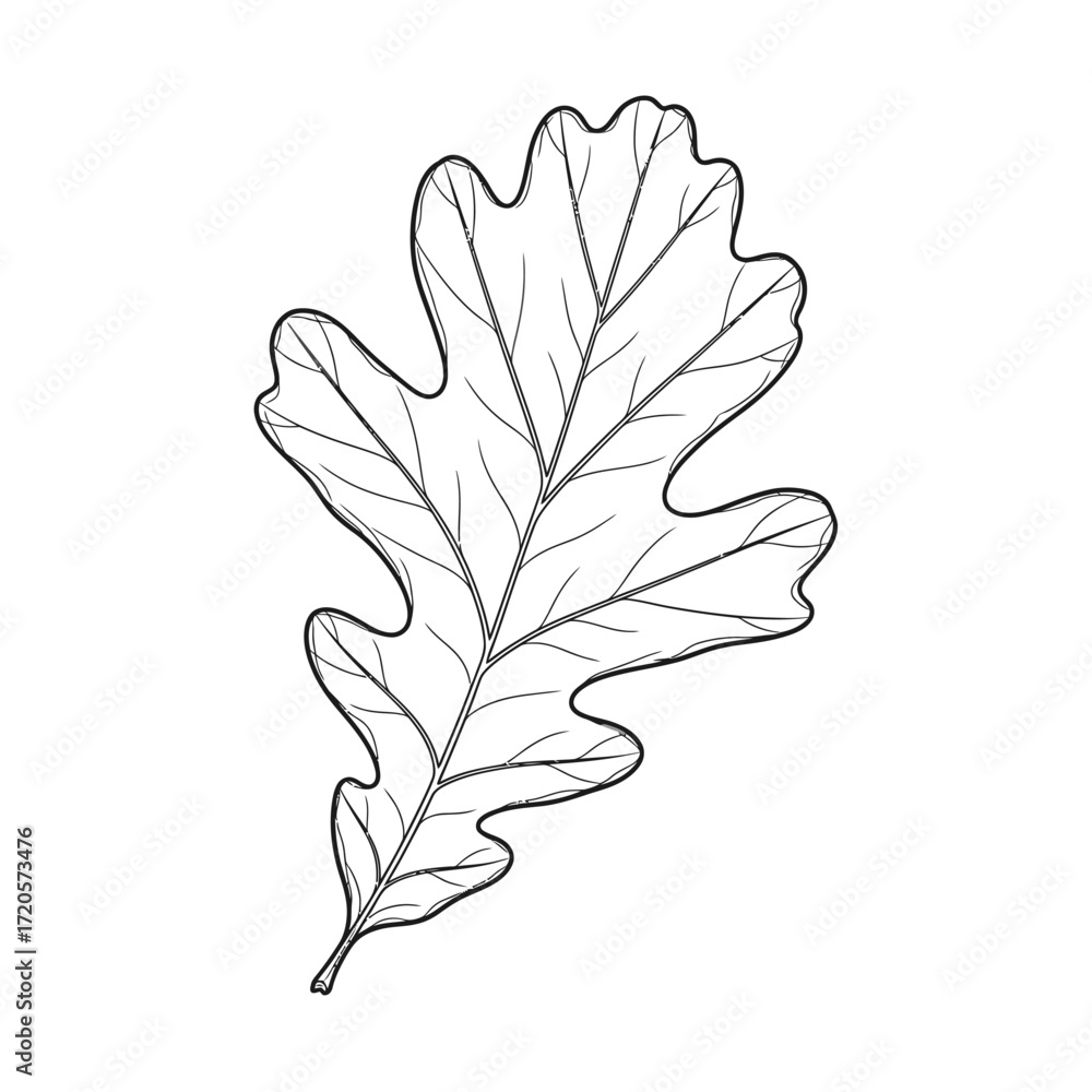 Obraz premium Abstract geometric pattern with subtle curves and sharp angles