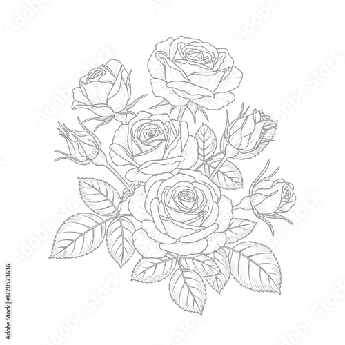 Hand drawn whisk illustration for culinary designs and kitchen graphics