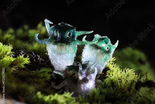 “Wonder Owl's eye” (Thismia thaithongiana) The native range of this species is Thailand. It is a holomycotrophic rhizomatous geophyte and grows primarily in the wet tropical biome.
Umphang ,THAILAND