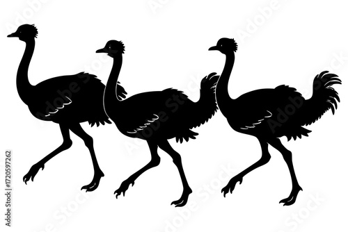 set of Ostrich running silhouette vector 