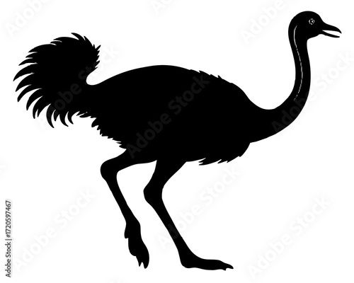 Ostrich running silhouette vector 