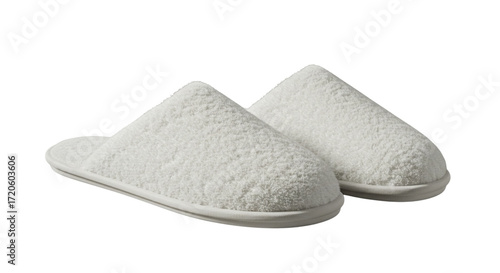 slippers isolated on white