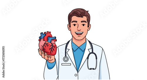 smiling doctor in a white coat and stethoscope holding a human heart model